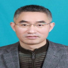 巢建新